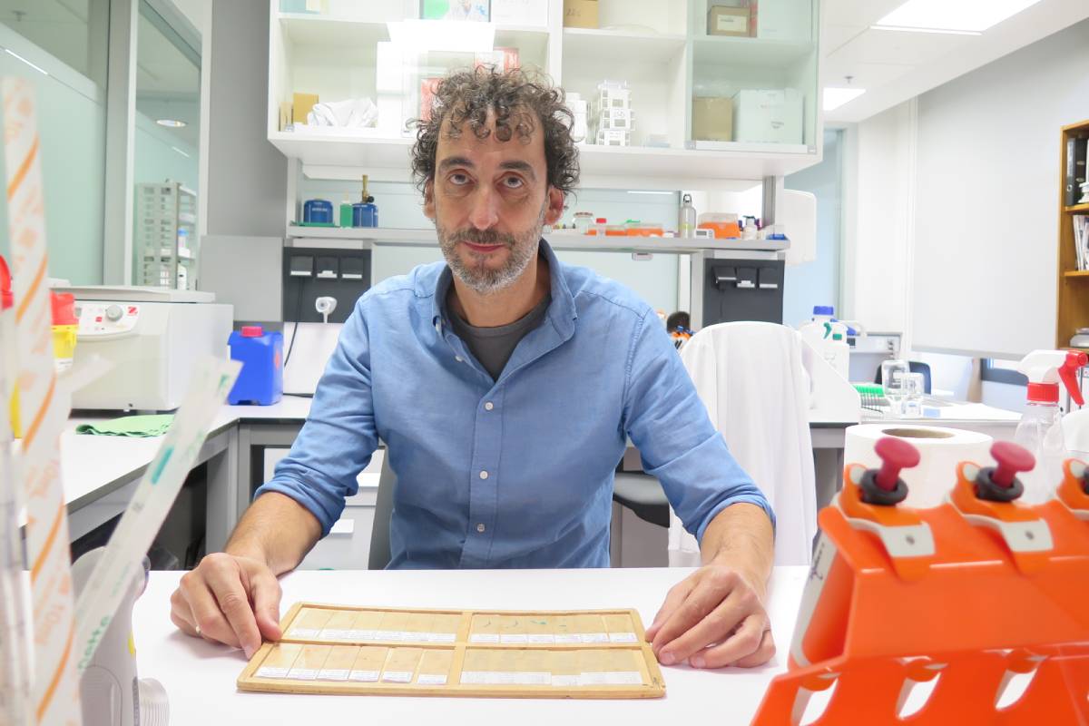 René Rodr�guez, jefe del Grupo de Sarcomas y Terapias Experimentales, vinculado con el Instituto de Investigación Sanitaria del Principado de Asturias (Foto: Covadonga D�az).
